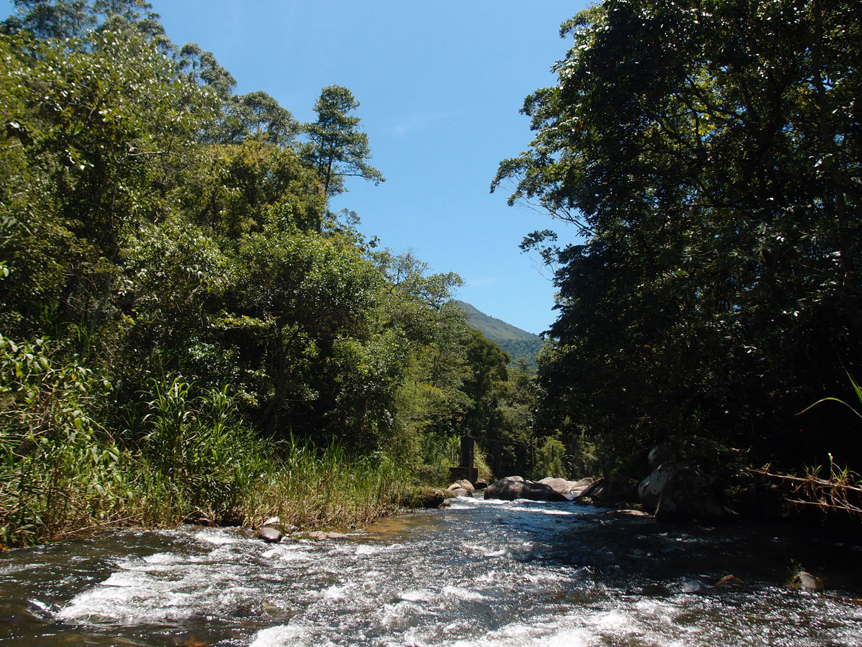 2016-02-10 am Fluss (Foto, Video)